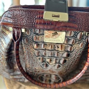 Brahmain metallic bag with lots of compartments very roomy